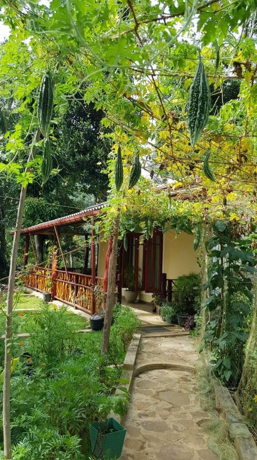 Happy Horizon Home Stay Ella Exterior foto